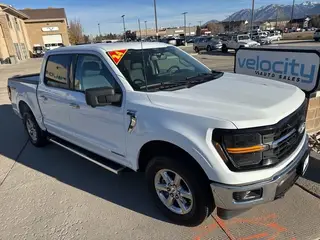 2024  Ford F-150 (1FTFW3LD3RFA75701) for sale in Tampa FL