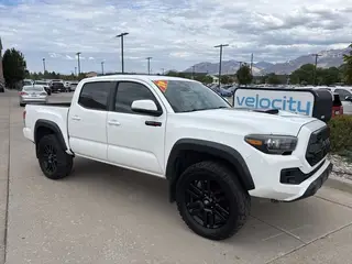 2019  Toyota Tacoma (5TFCZ5AN9KX191406) for sale in Tampa FL